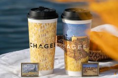 霸王茶姬加盟：从品牌认知到市场占领的全程支