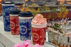 霸王茶姬加盟与其他品牌的差异化竞争优势